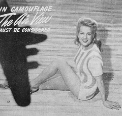 Pin-up anni cinquanta e camouflage aereo