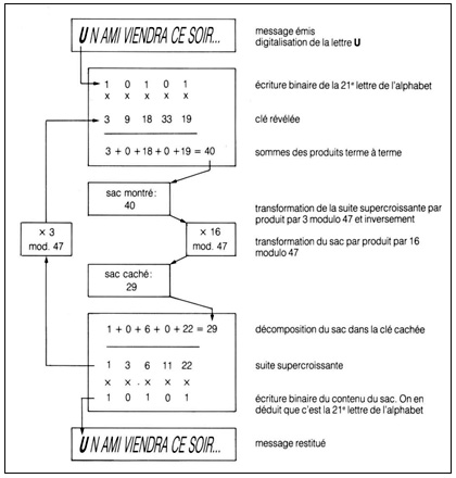 Organigramme