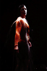 Bill Viola, Ocean Without a Shore
